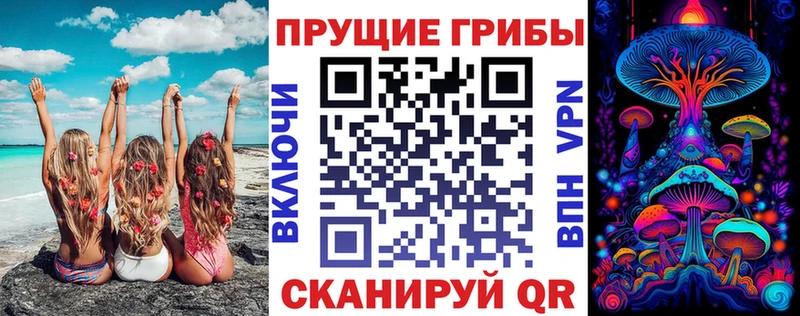 где продают наркотики  Арзамас  Псилоцибиновые грибы мицелий 